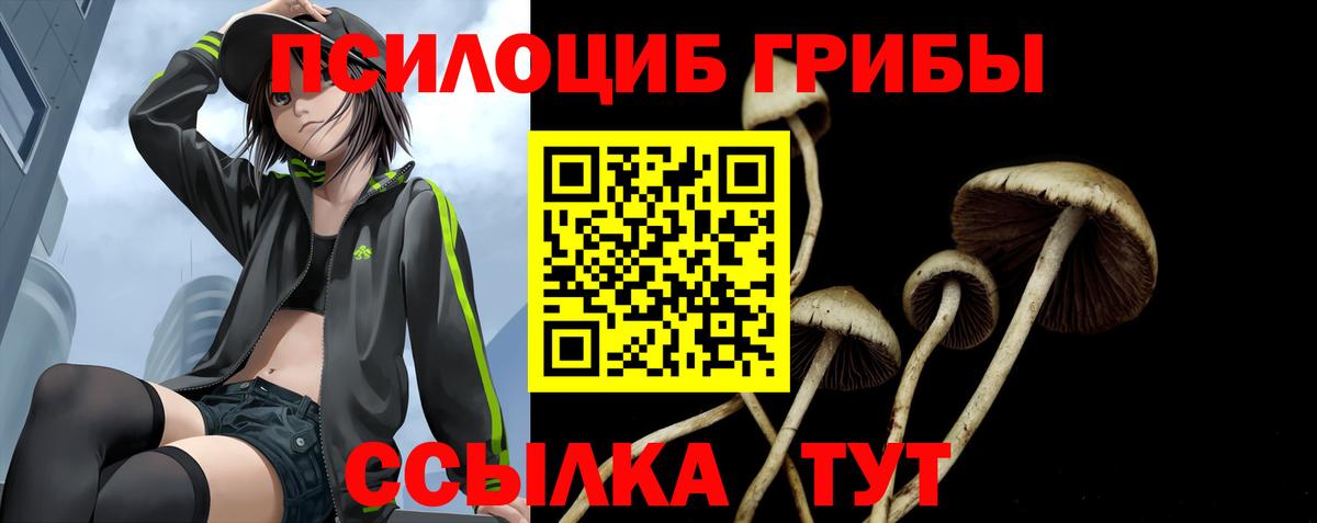 Галлюциногенные грибы GOLDEN TEACHER Гусь-Хрустальный
